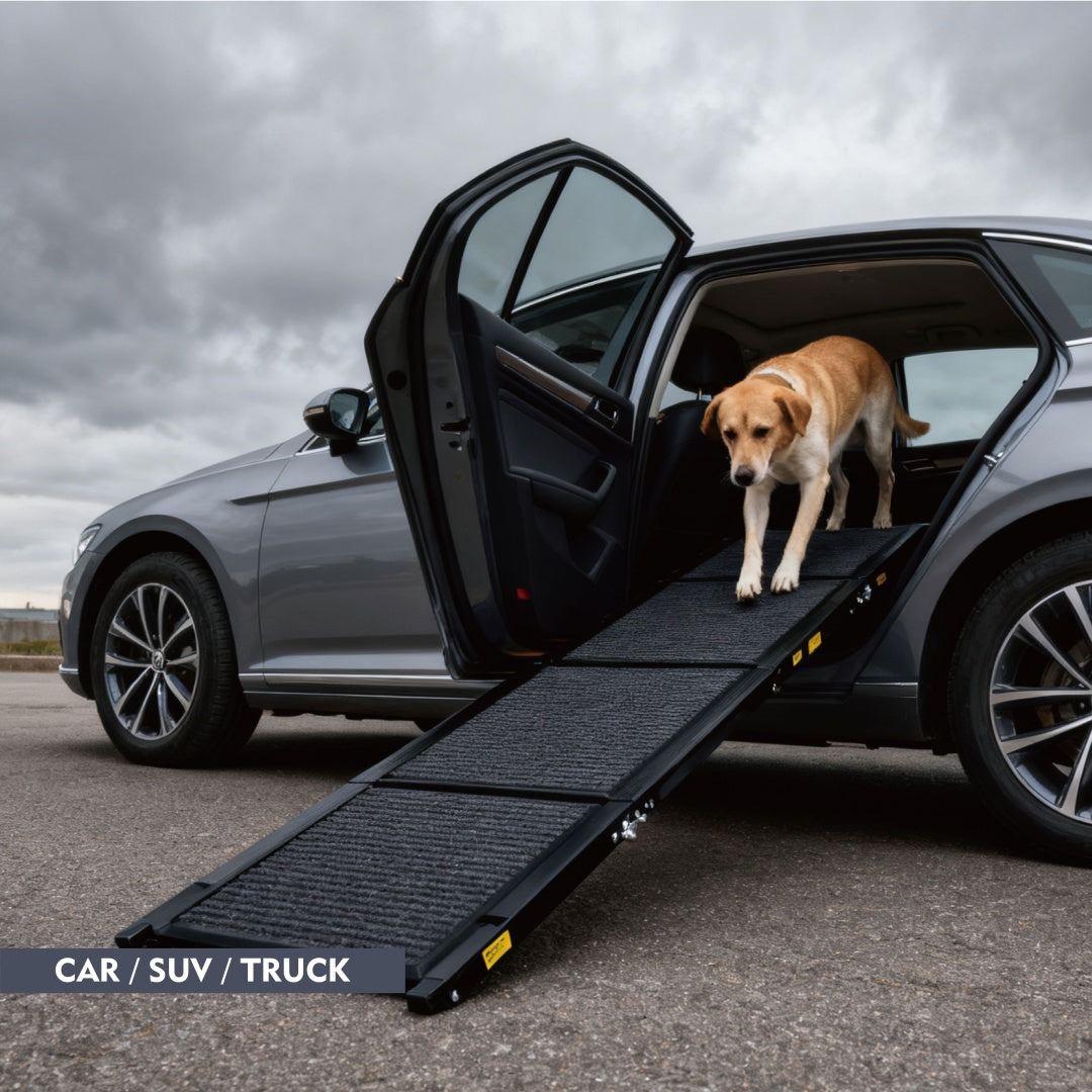 Dog using a black ramp to enter a car on a cloudy day