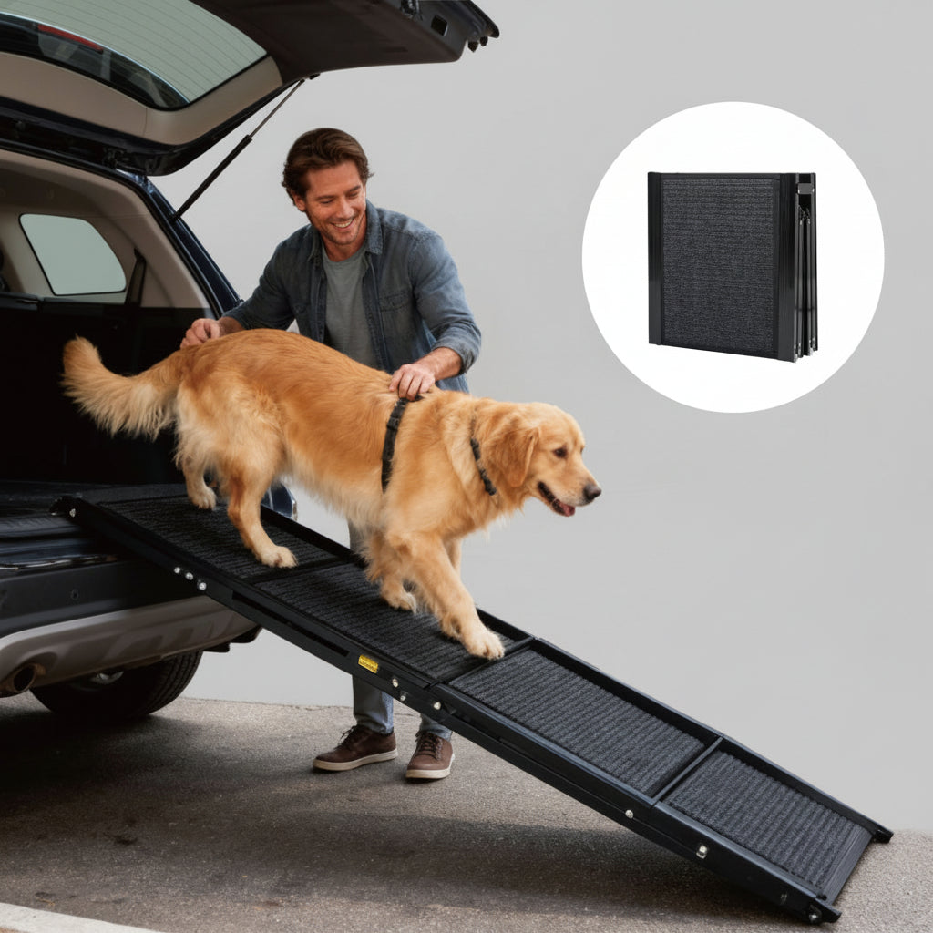Man helping a dog use a pet ramp to get into a car on a city street.